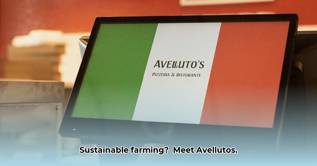 avellutos